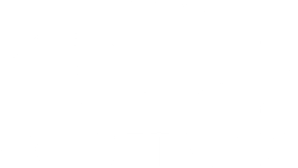 CC-Detailing Shop